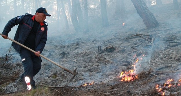 ÇIKAN YANGINDA 6 DÖNÜM ALAN ZARAR GÖRDÜ