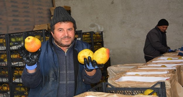 İÇ PİYASA VE RUSYA'YA İHRACAT BAŞLADI