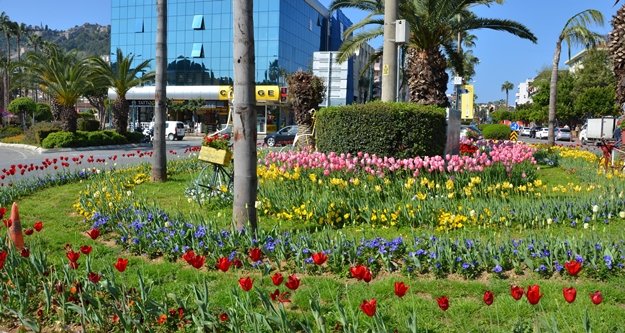 YAZIN HABERCİSİ LALE VE SÜMBÜLLER