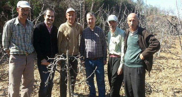 ÜRETİCİLERE UYGULAMALI AĞAÇ BUDAMA EĞİTİMİ