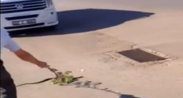 YILAN İÇİN TRAFİĞİ DURDURDULAR