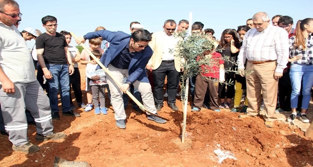 255 ŞEHİT İÇİN 5 DÖNÜM ALANA FİDAN DİKİLDİ