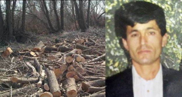 KESTİĞİ AĞACIN ALTINDA KALARAK ÖLDÜ