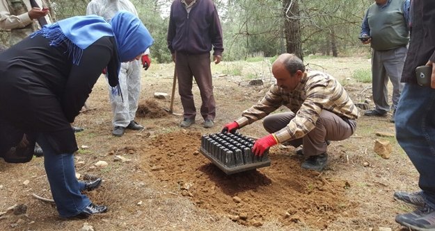 ORMANA TERMİNATÖR BÖCEKLER SALINDI