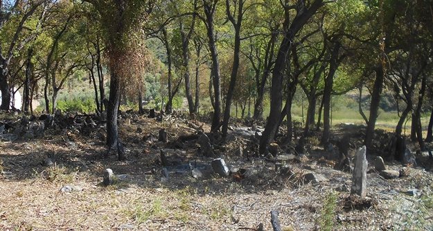 TARİHİ MEZARLIK GÜN YÜZÜNE ÇIKARILDI