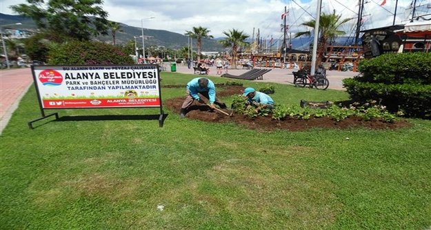 ALANYA YAZIN ÇİÇEK AÇACAK