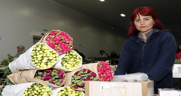 ÇİÇEK SEKTÖRÜ KRİZ TANIMADI