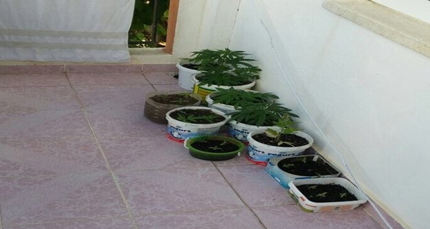 HİNT KENEVİRİNE POLİS BASKINI