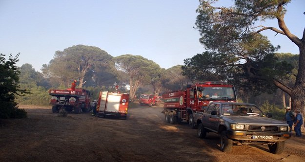 1.5 HEKTAR ORMAN KÜL OLDU