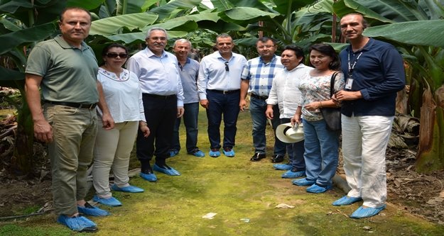 ALANYA MUZU'NU İNCELEDİLER