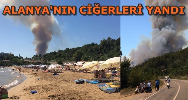 AYNI GÜN BEŞİNCİ ORMAN YANGINI