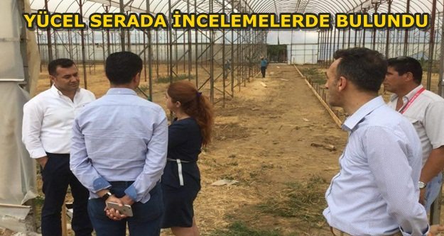 BELEDİYE KENDİ BİTKİ VE ÇİÇEĞİNİ ÜRETECEK