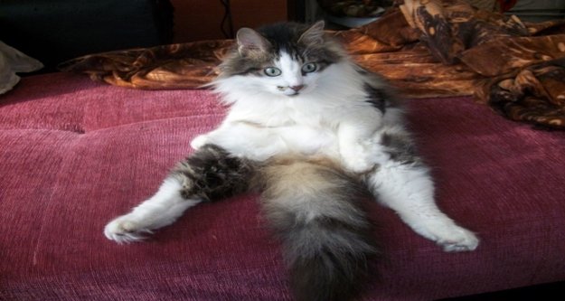 BENLİ’NİN FOTOĞRAFI ÖDÜL GETİRDİ