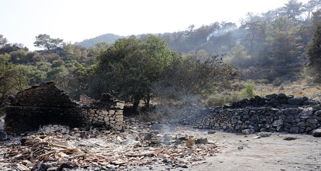 “EN ÇOK YANAN HAYVANLARA ÜZÜLDÜM”