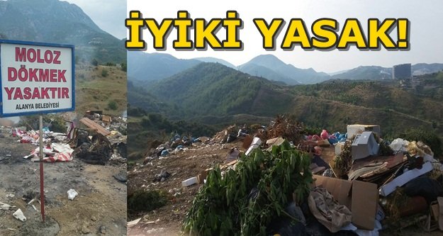 MUHTARIN MOLOZ VE ÇÖP İSYANI