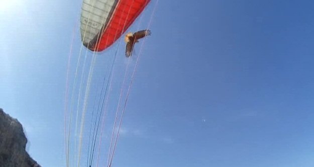 YAMAÇ PARAŞÜTÇÜSÜ KARTAL SALDIRISINA UĞRADI