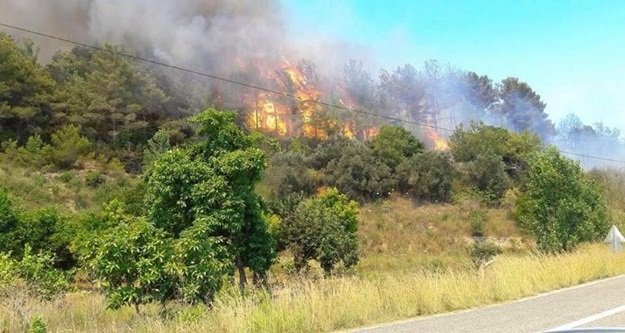 'YANGINLARIN ÇOĞU İNSAN KAYNAKLI'