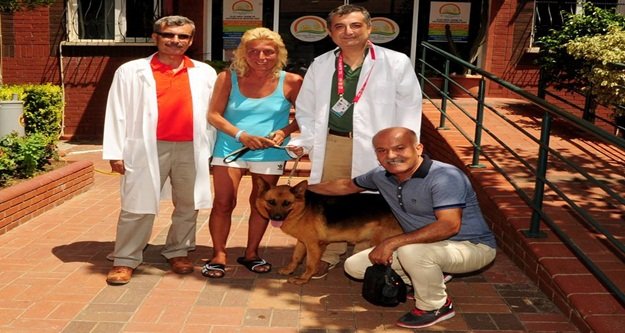 BELEDİYE YURT DIŞINA HAYVAN SAHİPLENDİRİYOR