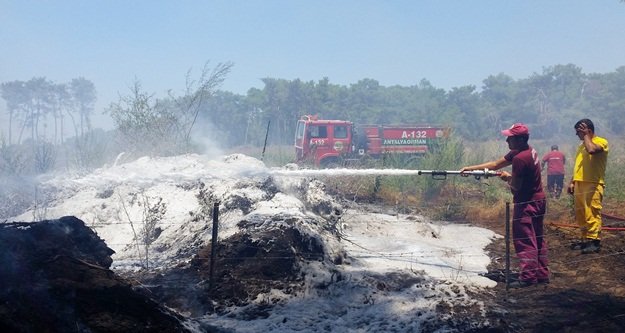 KOMŞUYU YİNE ALEVLER SARDI