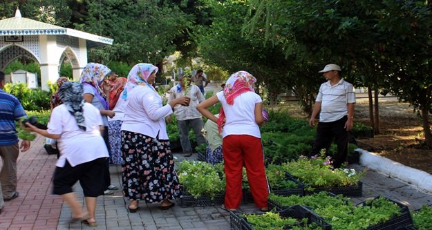 MEZARLIKLARDA ÜCRETSİZ ÇİÇEK DAĞITACAK