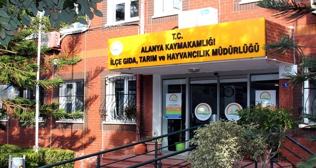 ALANYA'DA FETÖ OPERASYONUNDA İKİNCİ DALGA