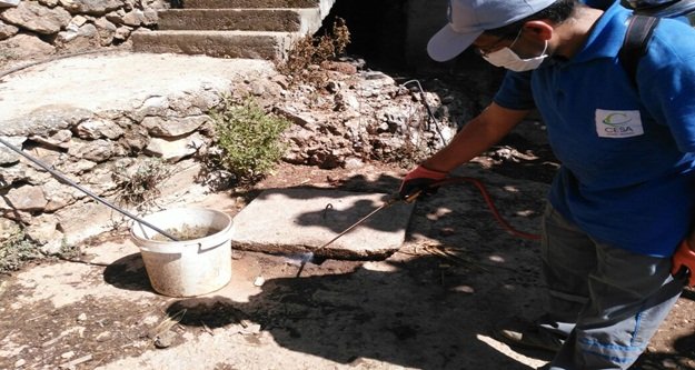 ALANYA'DA SİNEKLE BİYOLOJİK MÜCADELE