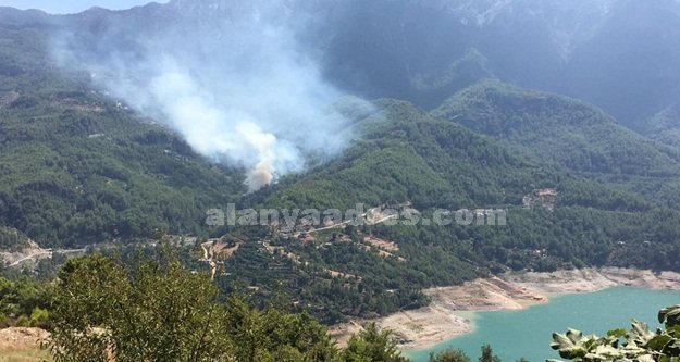 ALANYA'NIN CİĞERLERİ ALEV ALEV