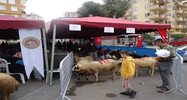KURBAN SATIŞ YERLERİ BELİRLENDİ
