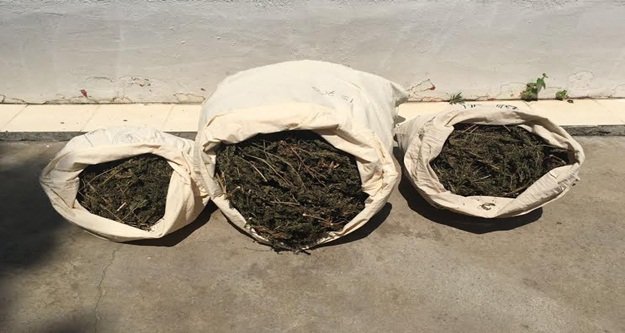 NAR BAHÇESİNDE UYUŞTURUCU ELE GEÇİRİLDİ