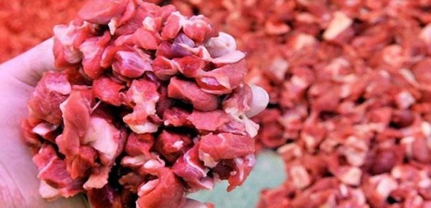 AYIPLI LİSTEDE 5 ANTALYALI VAR