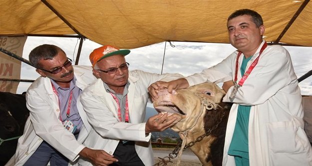 KURBANLIKLAR DENETİMDEN GEÇTİ