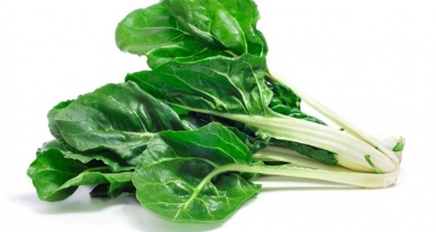 PAZI ŞEKER HASTALIĞINDAN KORUYOR