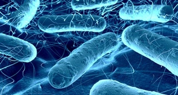 Vücudumuzda 90 trilyon mikrop taşıyoruz