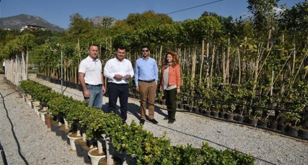 Ekeceği bitki ve çiçeği kendi üretiyor