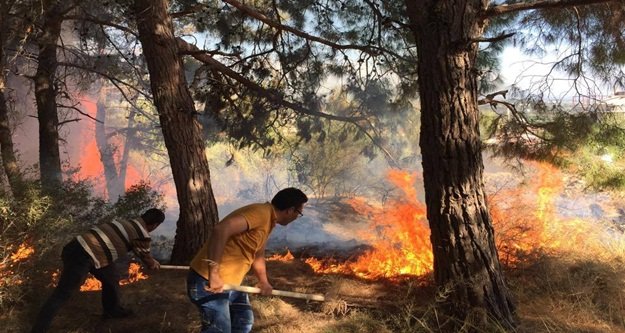 Eline ağaç dalını alan alevlere koştu