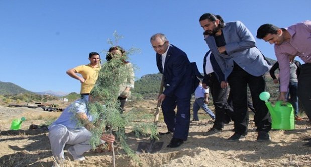 ALKÜ Kestel Kampüsünü ağaçlandırıyor