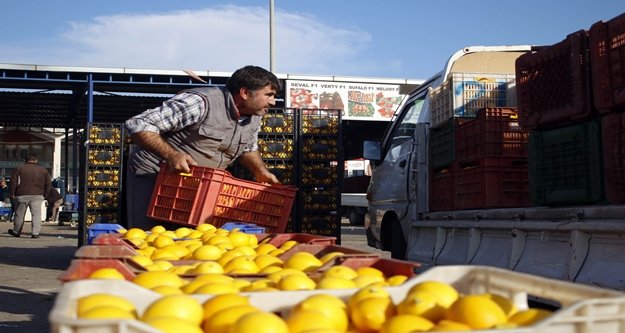 Antalya halinde çiftçilerin eylemi bitti