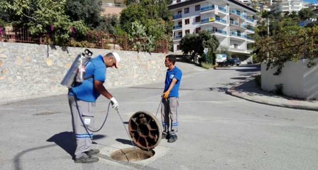 Sinekle mücadele hız kesmiyor