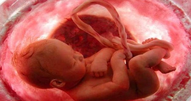 Anne karnında kalp hastalığı tanısı mümkün