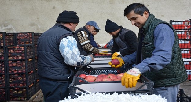 Elma’da hareket başladı