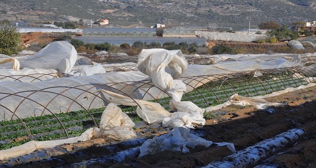 Fırtına seraları uçurdu