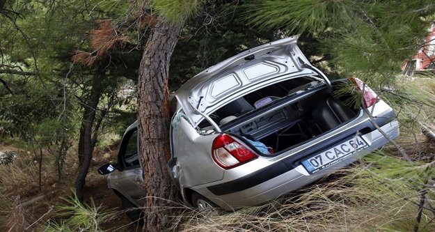 Hayatını ağaç kurtardı