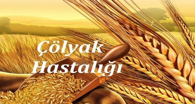 Karabuğday’ı çölyaklılarda yiyebiliyor