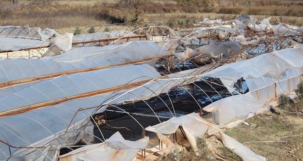 Muz seralarını fırtına vurdu