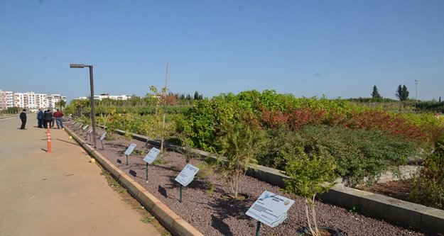 Orman fidanlığında satış ofisi açıldı