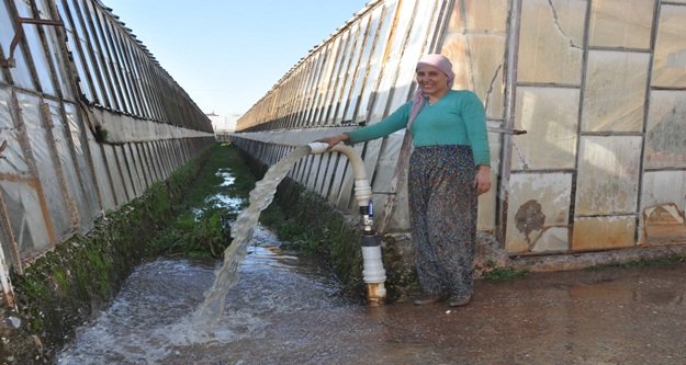 Üretici alternatif enerjiyi buldu