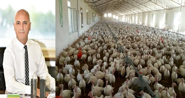 Yılbaşı için 70 bin hindi kesildi