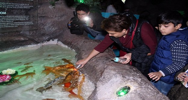 Biberonla balık emzirme havuzu