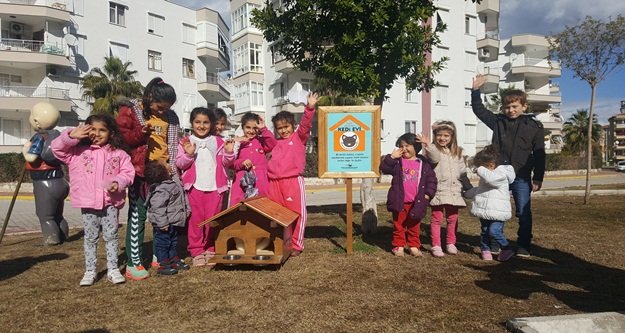 Kedi Evleri çocukların akınına uğradı