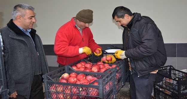 Rusya’ya Elma ihracatı başladı